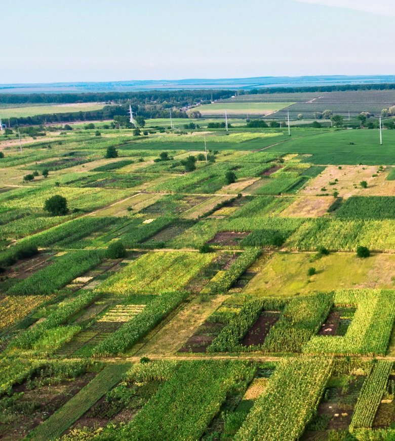 View of fields from the drone, Donduseni, Moldova